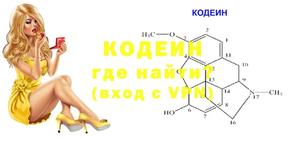 стафф Арсеньев