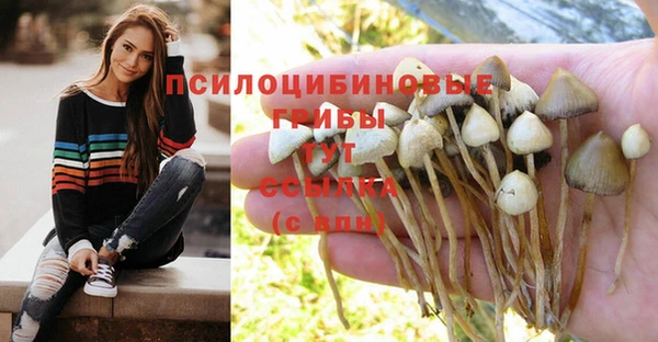 кокаин премиум Аркадак
