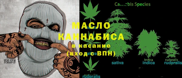 гашик Нея