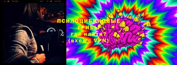 спайс Верея