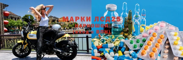 гидра Алексин